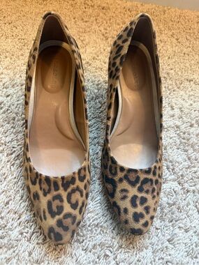 AEROSOLES Leopard-Print Pointed Toe Heels - Brown & Black
